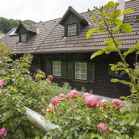 Das Altsteirische Landhaus - La Maison De Pronegg - Feriendomizil Im Biosphaerenpark Wienerwald Pressbaum Quarto foto