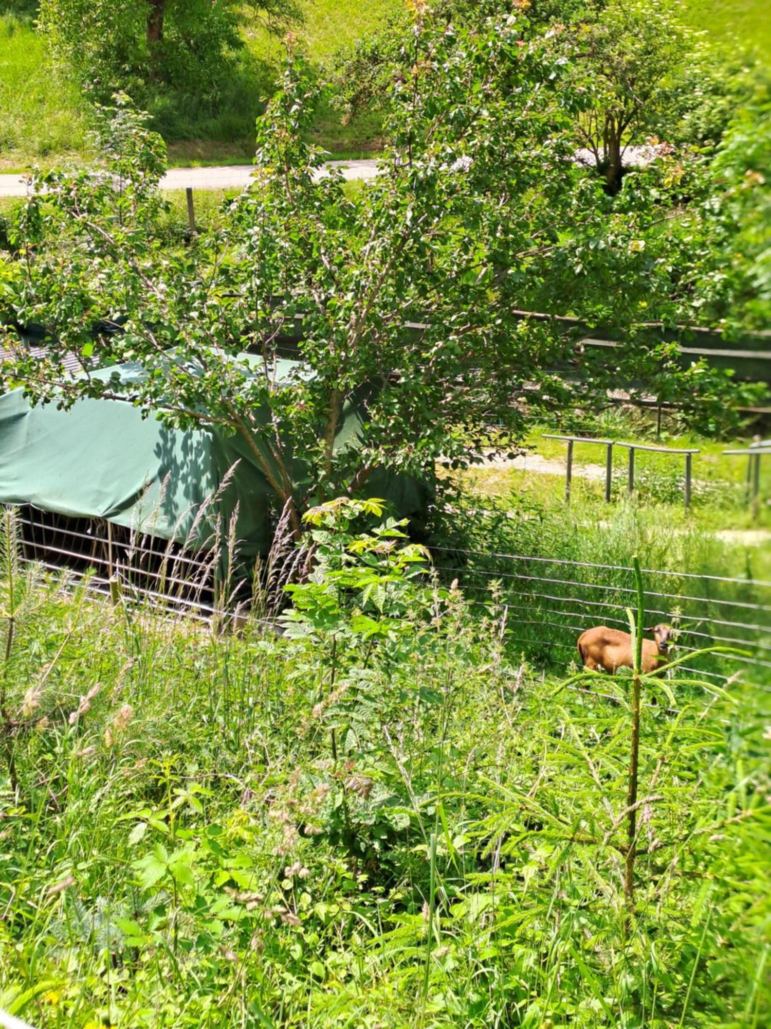 Das Altsteirische Landhaus - La Maison De Pronegg - Feriendomizil Im Biosphaerenpark Wienerwald Pressbaum Exterior foto