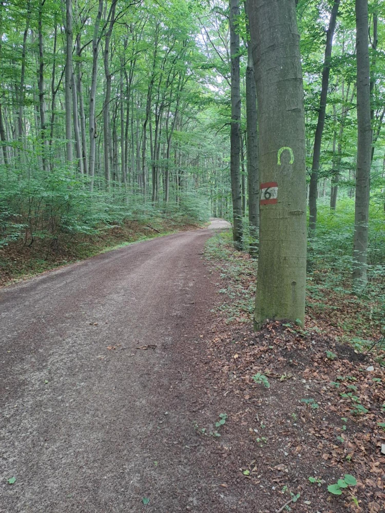 Das Altsteirische Landhaus - La Maison De Pronegg - Feriendomizil Im Biosphaerenpark Wienerwald Pressbaum Exterior foto