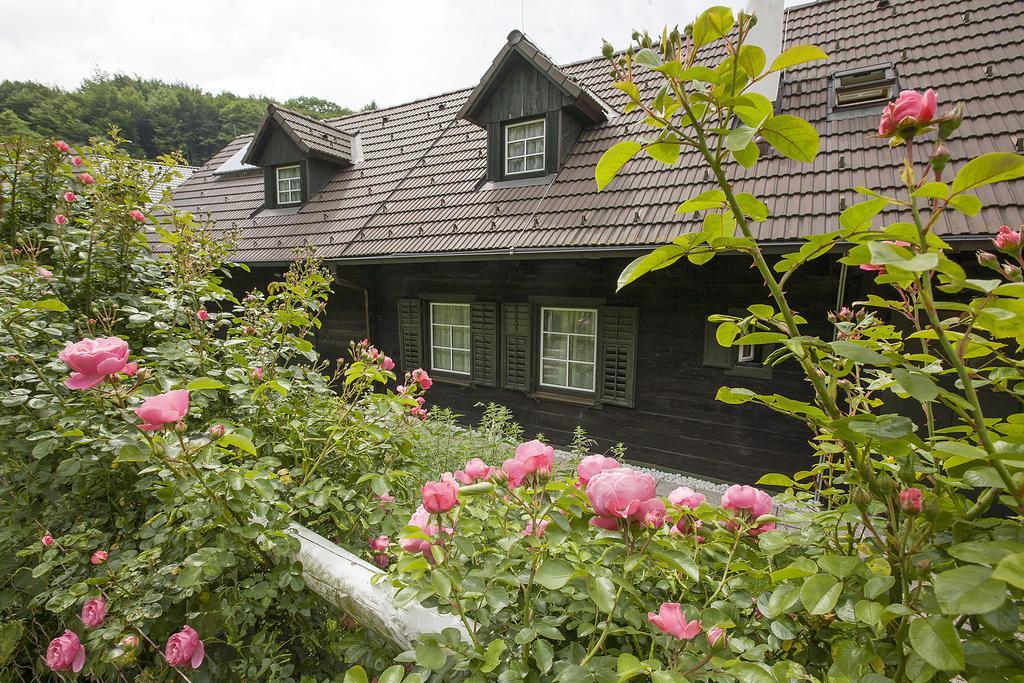 Das Altsteirische Landhaus - La Maison De Pronegg - Feriendomizil Im Biosphaerenpark Wienerwald Pressbaum Quarto foto